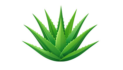 Fototapeta premium Minimal flat illustration of aloe vera plant with clean lines and soft green palette, modern vector style, centered composition, isolated on transparent background, design and branding friendly