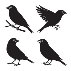 Fototapeta premium A set of four black bird silhouettes in different poses on a white background