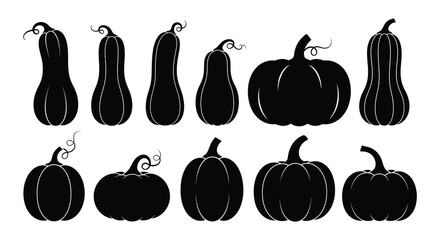 A collection of black silhouette pumpkins and gourds in various shapes © MdNirob
