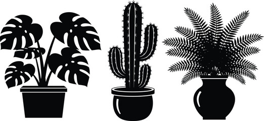 Potted houseplants silhouettes vector illustration set, monstera, cactus and fern indoor plants, modern home decor, botanical design, minimal black icons © MdShahadot