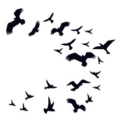 Flying Birds Silhouette. Isolated on White Background. Vector Illustration