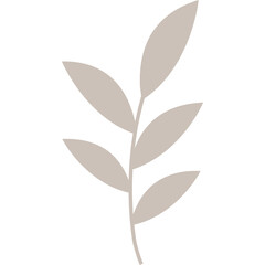 Aesthetic Leaf Vector