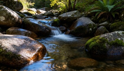 Serene Forest Stream with Mossy Rocks and Gentle Waterfall