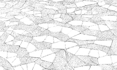 Grunge gray wall texture with aged dirty surface
Rustic vintage grunge background with rough texture