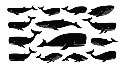 A collection of various whale silhouettes in black and white tones © MdNirob