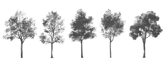 Vector Modern Landscape Tree Icons Collection on White Background