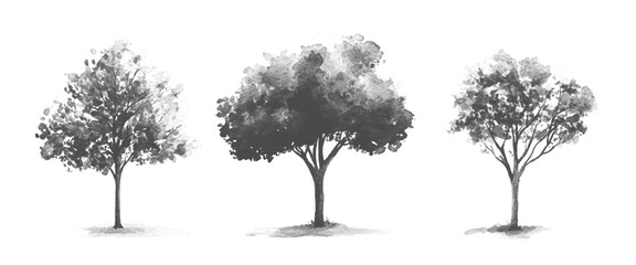 Vector White And Black Minimal Nature Tree Assets Isolated on White
