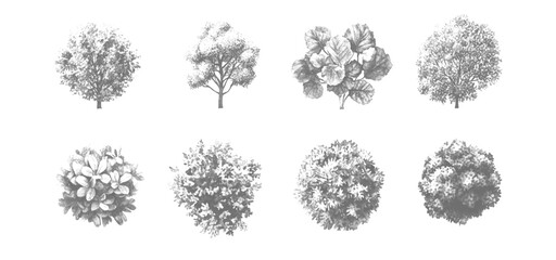 Vector White And Black Architectural Landscape Trees on White Background