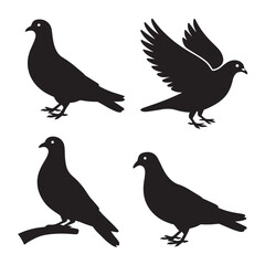 Fototapeta premium Four black silhouette pigeons on a white background with various poses and one on a branch