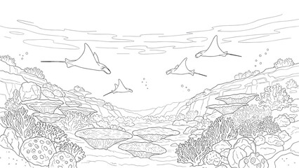 Fototapeta premium Underwater ocean scene with manta rays and coral reefs in linear art style
