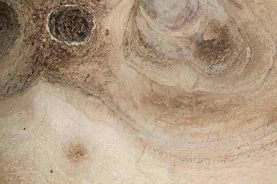 Mineral textures on the cave ceiling with bat details