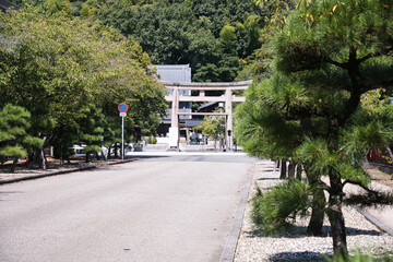 愛媛県の護国神社参道