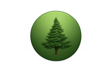 Green pine tree in a circular icon shape, representing themes of nature, forestry, and sustainable environment. Transparent background