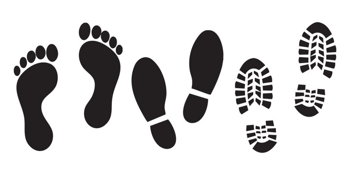 Vector file for scalable graphics and high-quality design projects