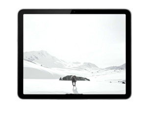 Digital device displays serene winter scene with lone animal