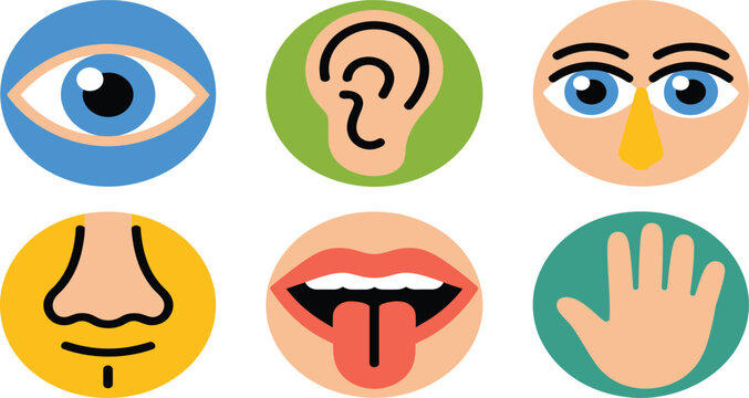 Cartoon Icons of Five Human Senses Eye Ear Nose Mouth Hand on Light Background