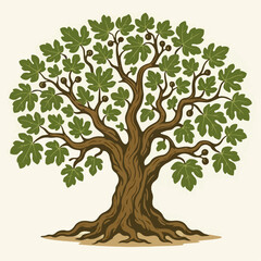 illustration of an ancient fig tree