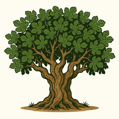 illustration of an ancient fig tree