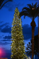 A large illuminated Christmas tree with palm trees and a Bethlehem star on top
