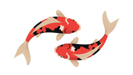 Plakat Colorful koi fish pair on white background in flat design