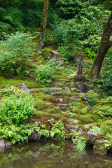 Obraz premium Historic close view of lush Japanese forest garden on an overcast day