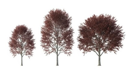 Fototapeta premium Autumn Trees Isolated on White Background - Red Foliage, Fall Season