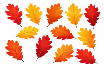 Autumn oak foliage pattern on transparent background, vibrant red, orange, and yellow leaves for seasonal design