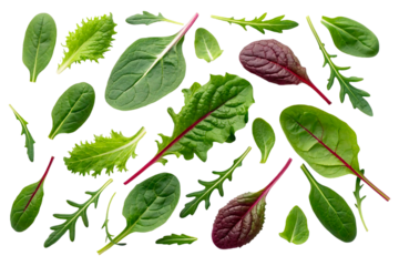 Creative flat lay pattern of fresh green salad leaves mix including spinach arugula and chard isolated on white background.