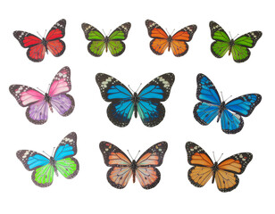 Butterflies flock in vibrant rainbow hues with spotted wing patterns