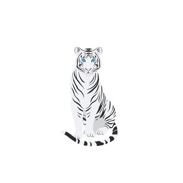 White tiger illustration with blue eyes sitting against a white background