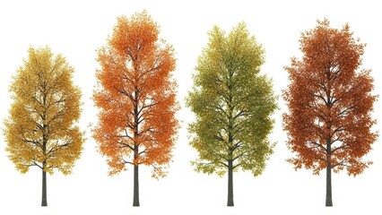Fototapeta premium Autumn Trees Isolated on White, Fall Season Foliage Background