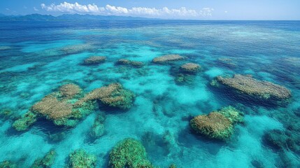 Obraz premium Underwater Coral Reef Ecosystem With Clear Blue Tropical Ocean Water Sunlight Shining Through