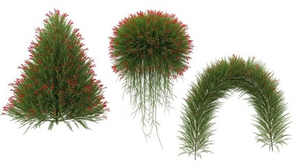 Green Plants Set Triangle, Sphere, and Arch Isolated on White Background