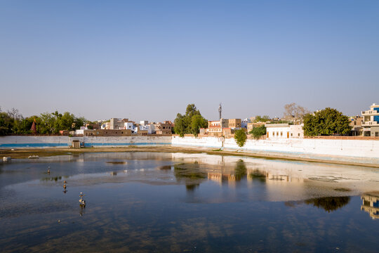 Calm waters of Sursagar Lake mirror the surrounding whitewashed walls, trees, and traditional buildings in Bikaner, Rajasthan. Clear blue sky and soft afternoon light create a peaceful cityscape with