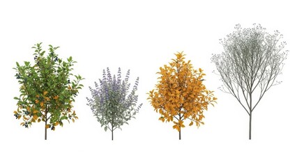 Set of 3D Rendered Trees Isolated on White Background, Seasonal Variations
