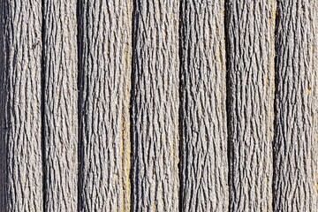 Bark texture of vertical tree trunks, grey, close-up detailed shot