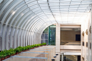 greenhouse in the garden