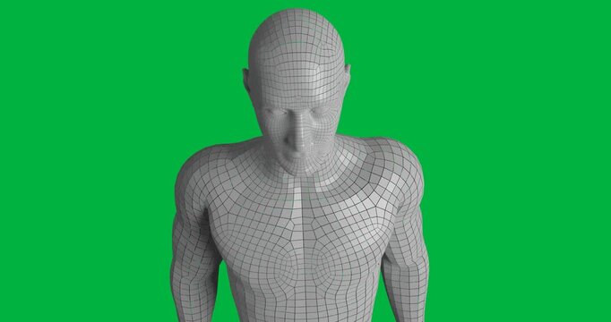 digitally generated gridlines human