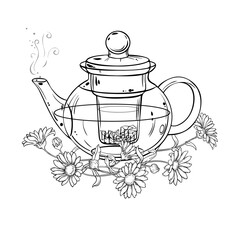 Calendula Tea in Teapot aroma beverage Outline Illustration. Vector isolated for Design and Decoration for Cafeteria, Posters, Banners, Cards.