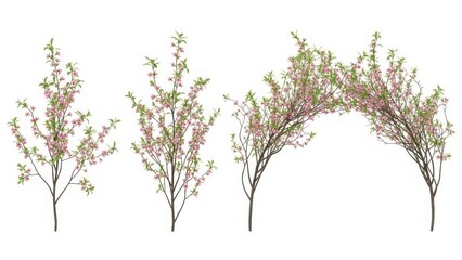 Obraz premium Pink flowering tree branches isolated on white, Spring Blossom