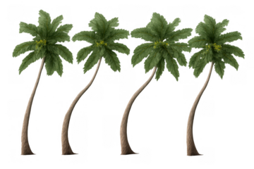 Palm trees in a row with green fronds, coconuts, and curved trunks, isolated on transparent background