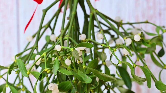 Christmas video of mistletoe branches
