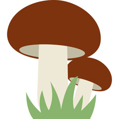 Cute Mushroom Illustration