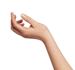 Woman's hand holding, offering, and receiving gesture