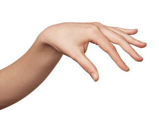 Woman's hand creating an elegant swan-like shape, symbolizing grace, beauty, and fluidity on a plain background, representing creativity and delicate movement