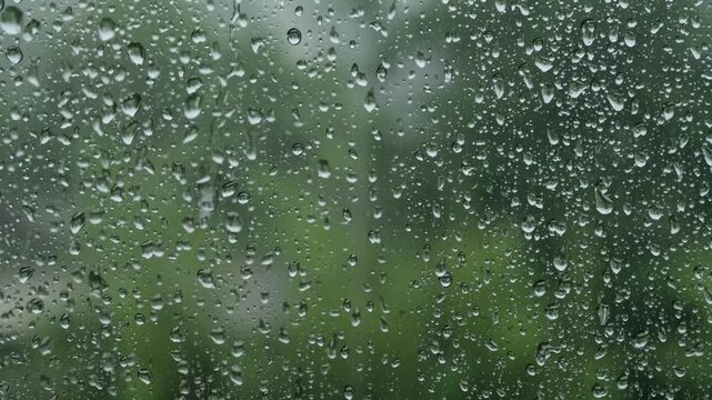 rain drops on window