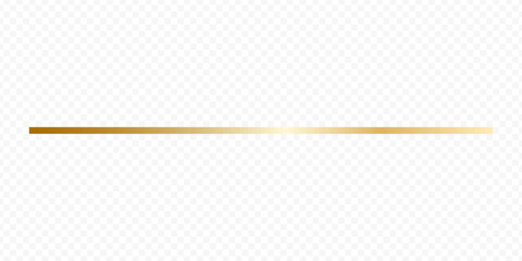 Golden line  gold line  aesthetic line. Vector modern