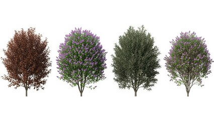Set of 3D Rendered Trees Isolated on White, Nature Landscape Elements