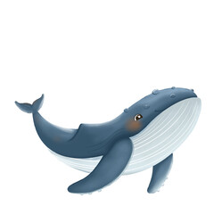 whale