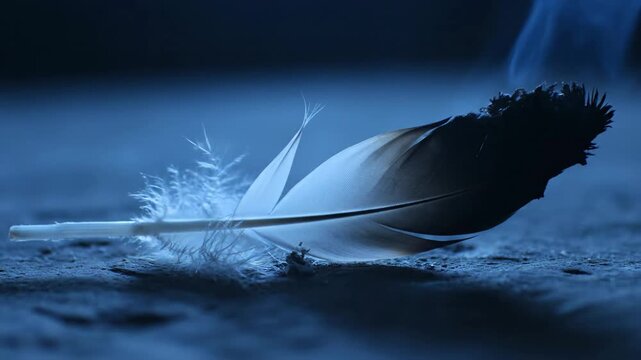 Cinematic Blue Smoke Reveals The Secret Of The Burning Feather